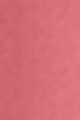 N.01 Rose Mutin