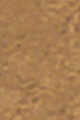 warm almond