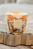 Max 35 Sacred Trees Cocody Candle