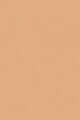1Y16 - WARM BEIGE
