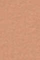 2W0 Beige