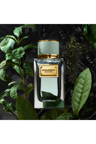 Velvet Infusion Eau de Parfum