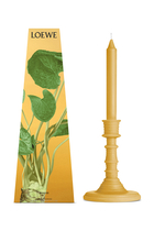 Wasabi Wax Candleholder