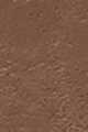 Cool walnut