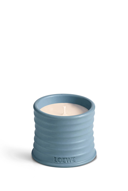 Blue Cypress Scented Candle