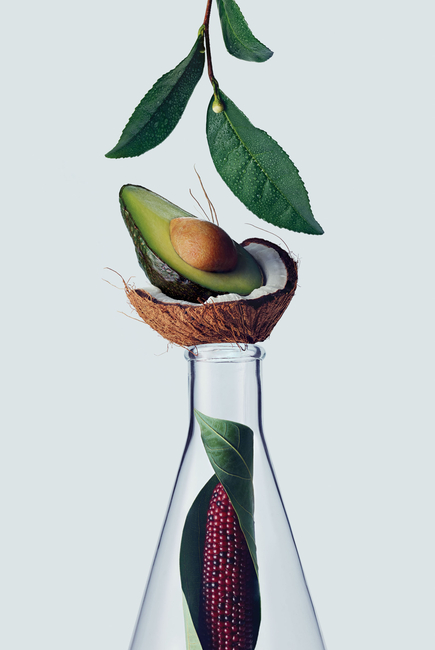 Botanical Repair™ Strengthening Shampoo