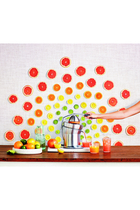 The Citrus Press Pro Juicer