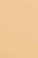 Warm Beige