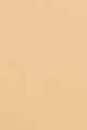 Warm Beige
