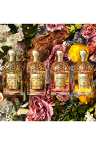 Aqua Allegoria Forte Rosa Palissandro Eau de Parfum
