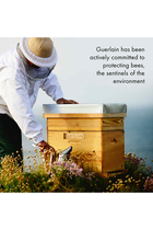 Abeille Royale Honey Treatment Day Cream