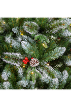 New Jersey Spruce Tree
