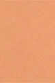 LIGHT PEACH
