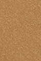 5W1 TAN
