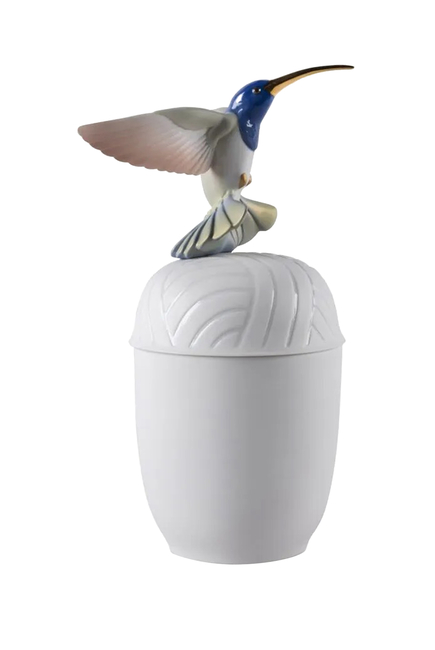 Hummingbird Box