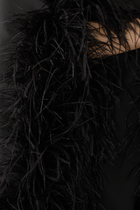 Satin Cape Dress With Feathers