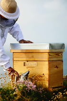 Abeille Royale Fortifying Lotion with Royal Jelly