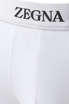Logo Trunks