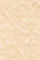 3N1 Ivory Beige