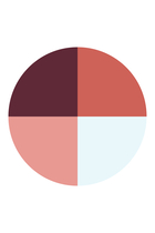 Ombres G Eyeshadow Quad
