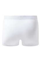 Logo Trunks