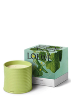 Cucumber Scented Candle