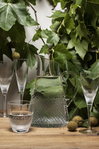 Splendour Pitcher