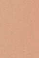 4N1 SHELL BEIGE