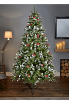 New Jersey Spruce Tree