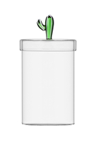 Desert Plants Green Cactus Box