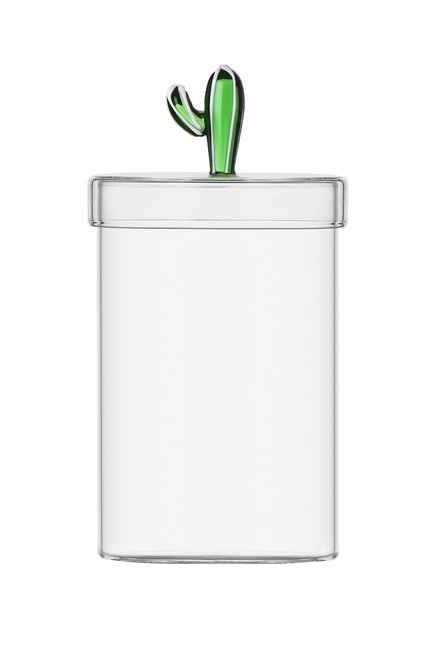 Desert Plants Green Cactus Box