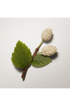 Les Mains Hermès, nourishing oil