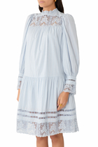  Colette Long Sleeve Mini Dress 