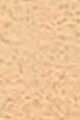 Matte Neutral