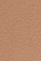 2W1 Taupe