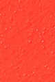 HOT PAPRIKA