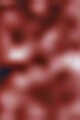 N°5 Rosewood