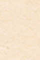 2C1 PURE BEIGE
