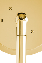 Gold 5x Magnifying Mirror