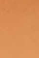 5N2 AMBER HONEY