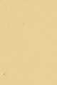 Warm Beige