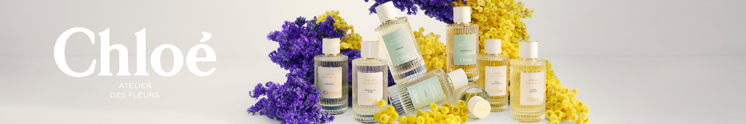 WK24_24-PLPBanner_ChloeBeauty