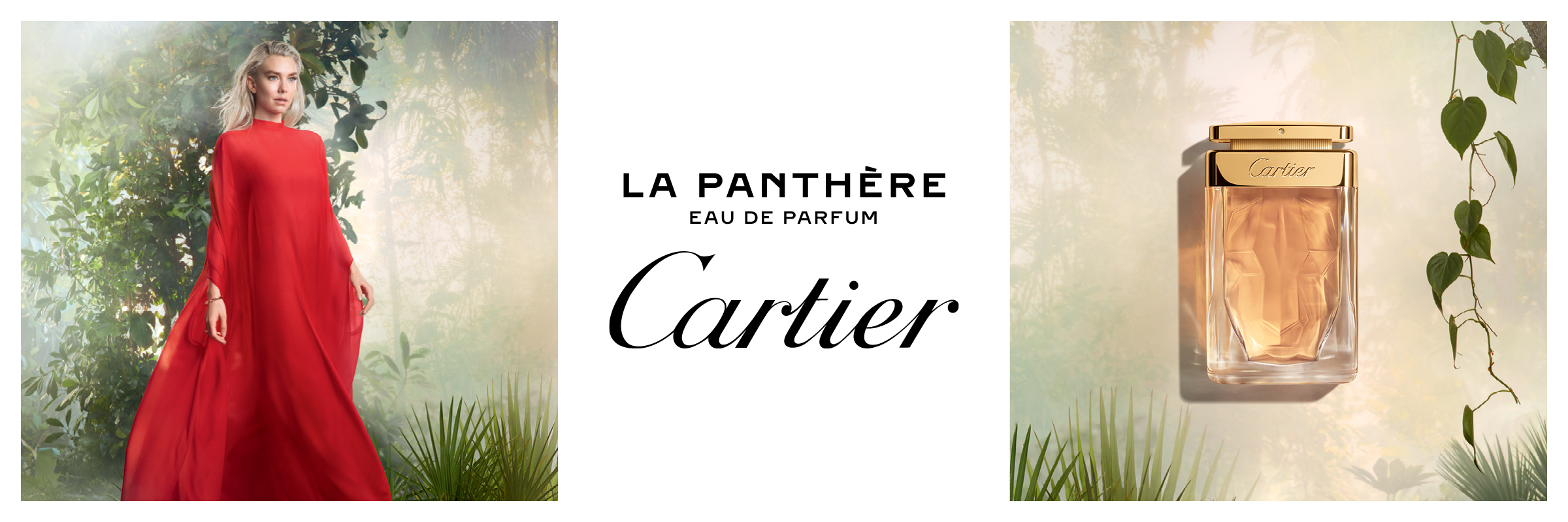 catier_banner