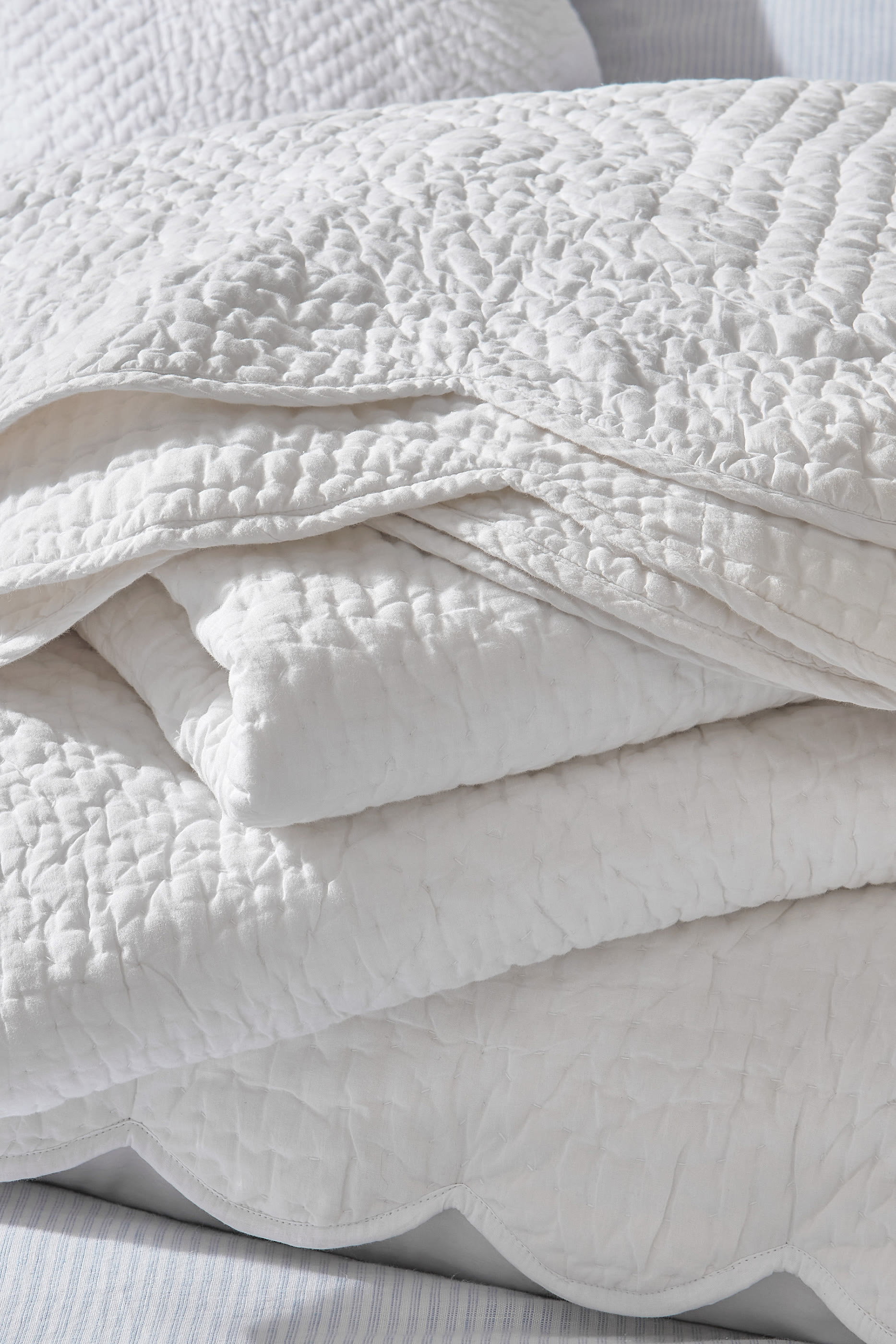 Milfield Cushion Cover