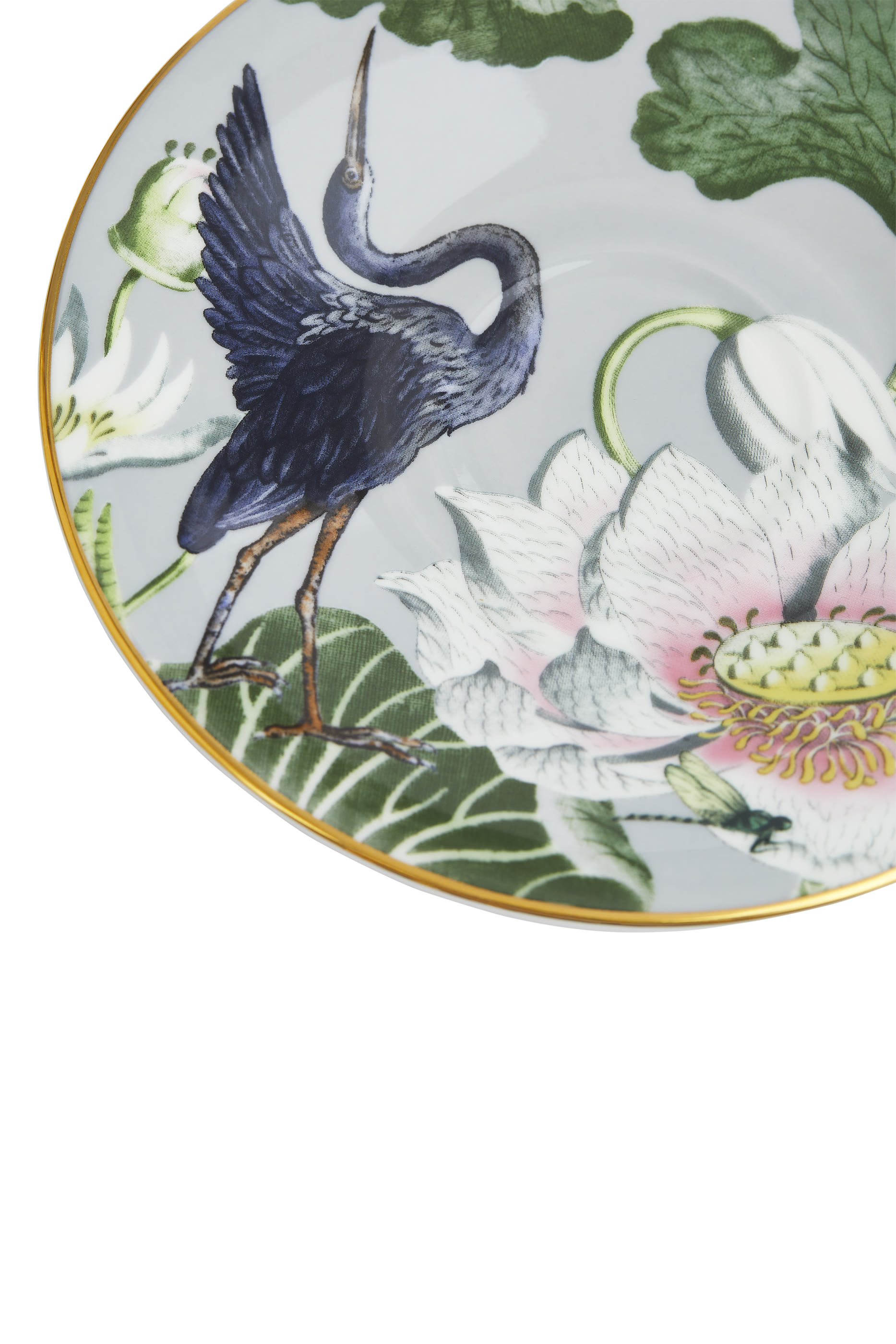 Wonderlust Waterlily Teacup & Saucer