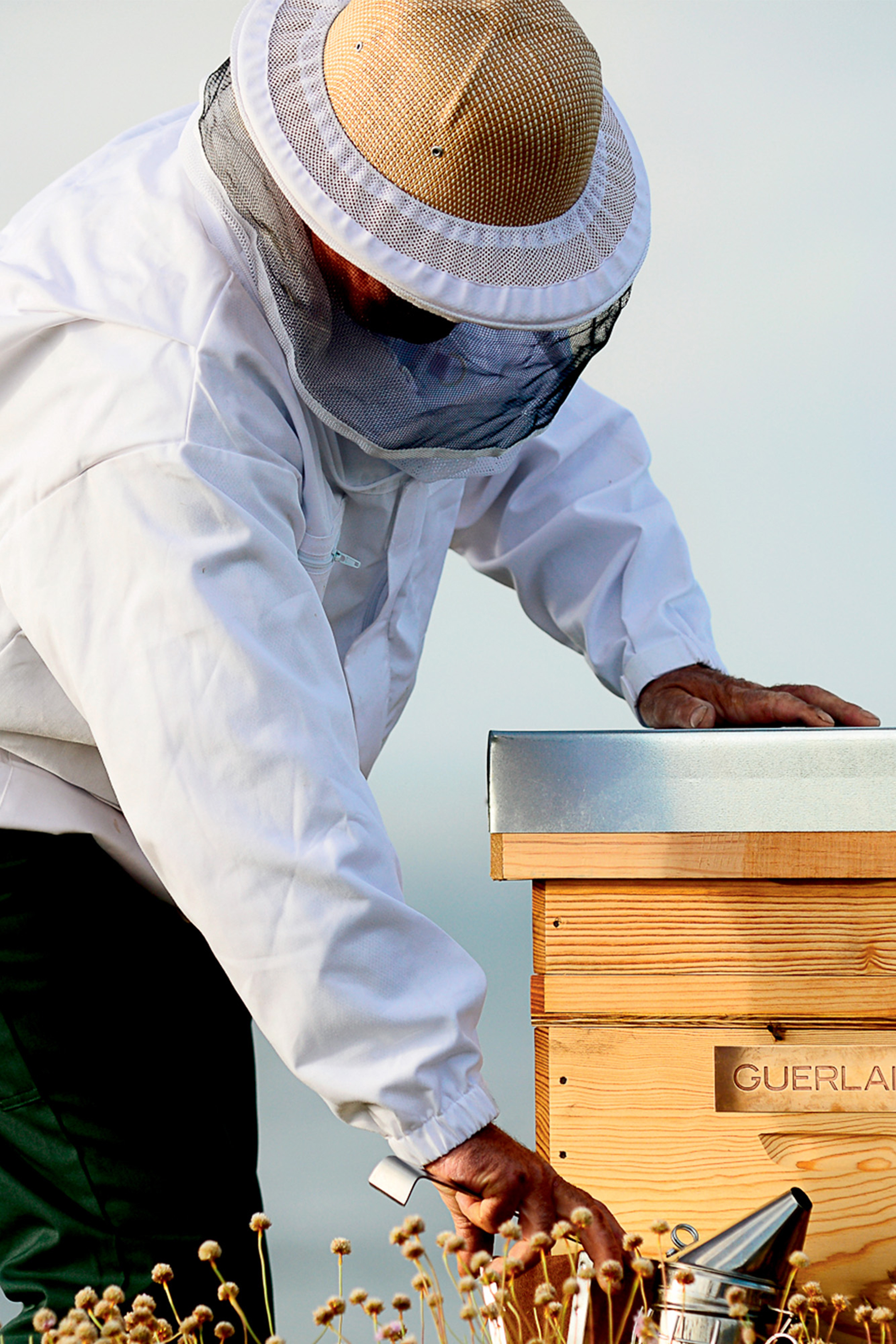 Abielle Royale Honey Treatment Day Cream Refill