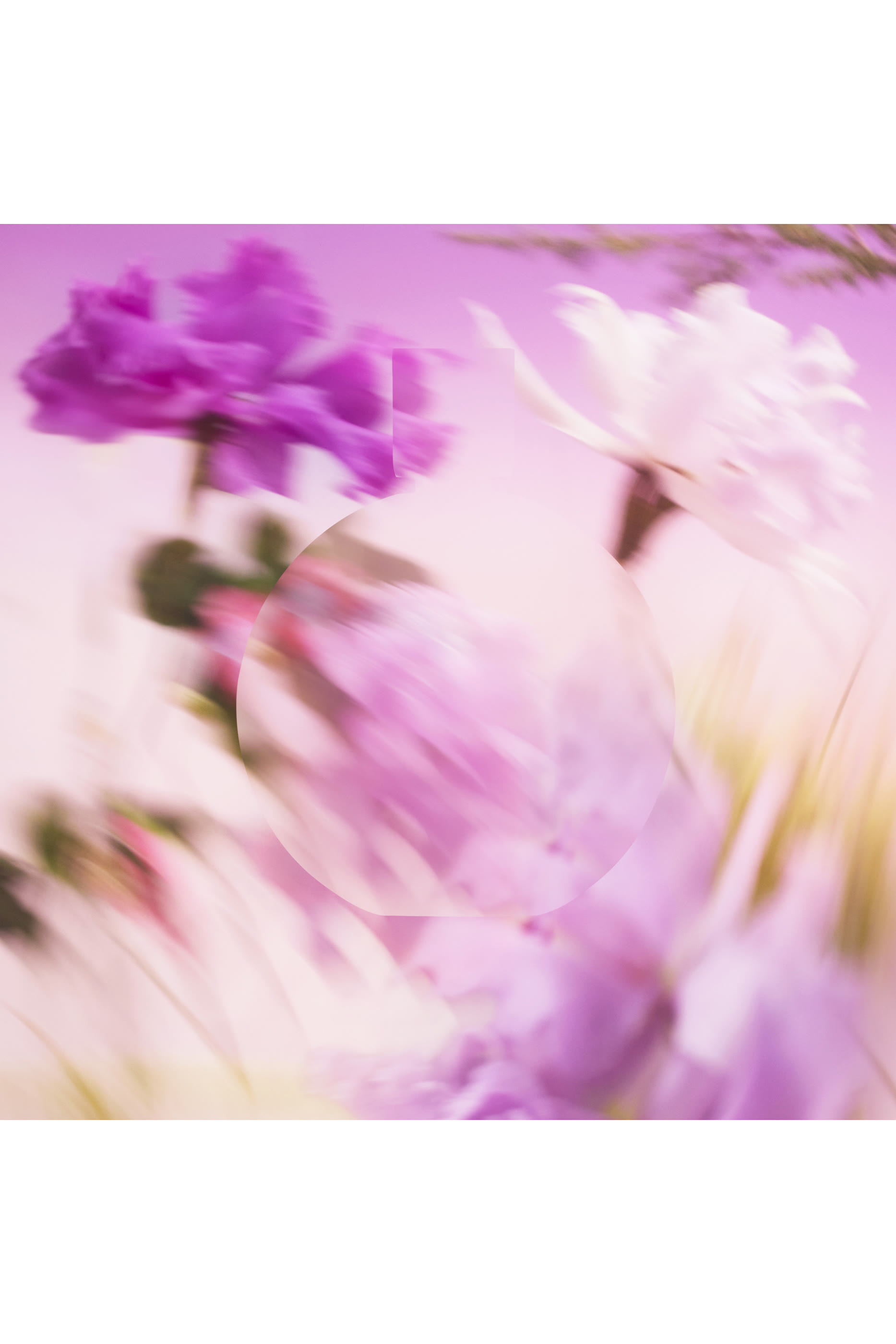 Chance Eau Splendide Eau de Parfum