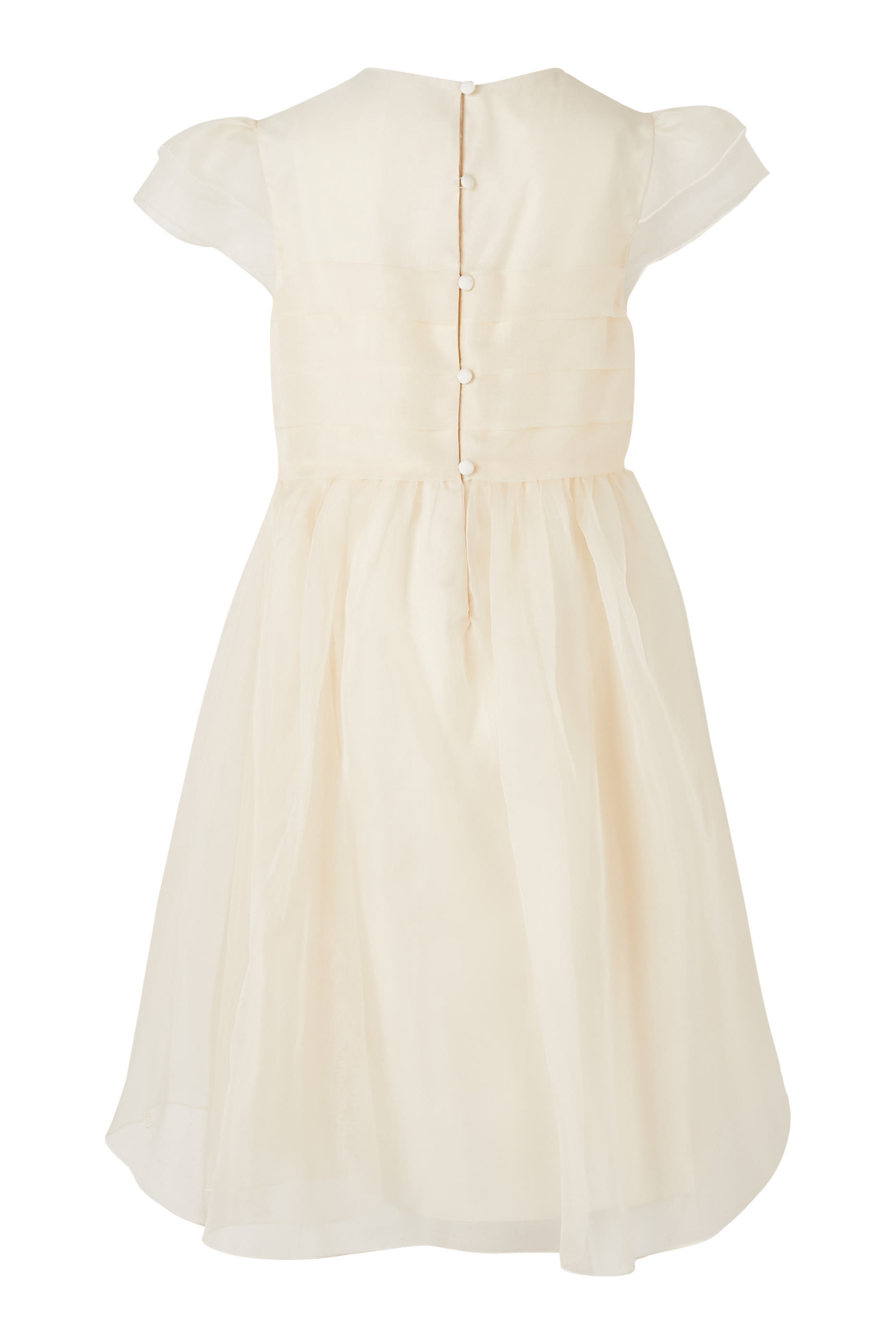Kids Plain Organza Dress