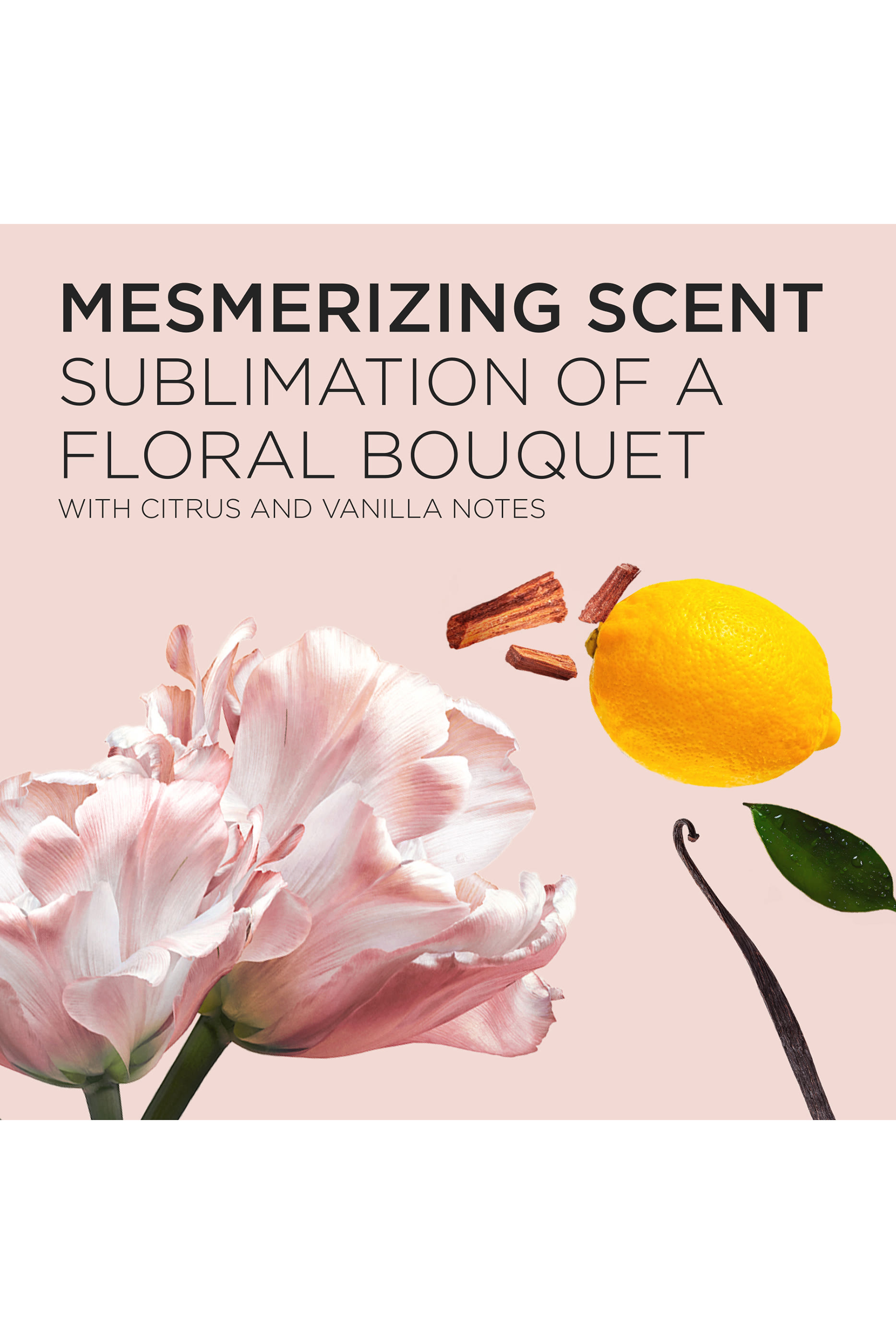 Gloss Absolu Hydra-Glaze Shampoo Refill Pouch