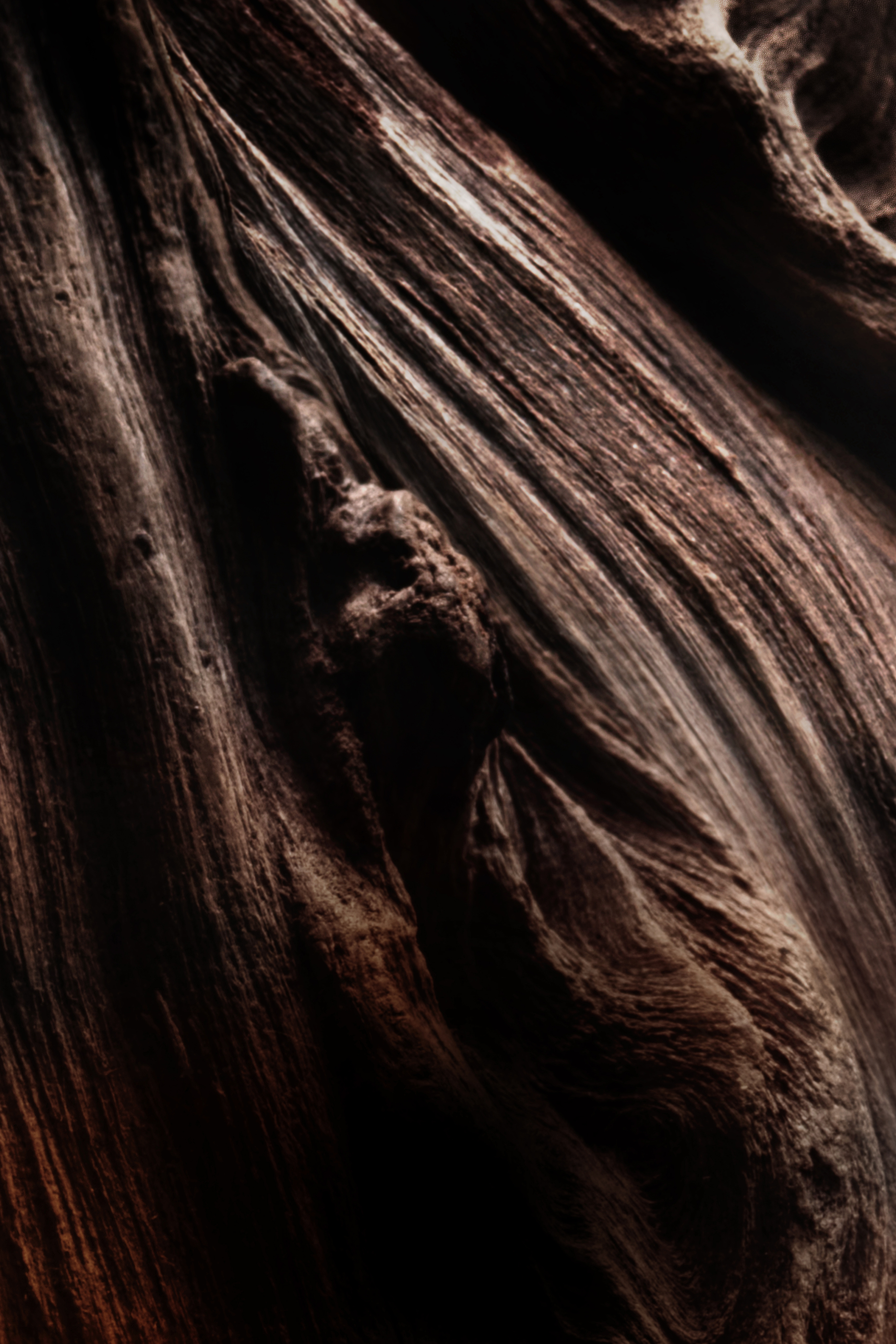 Oud Essentiel Eau de Parfum